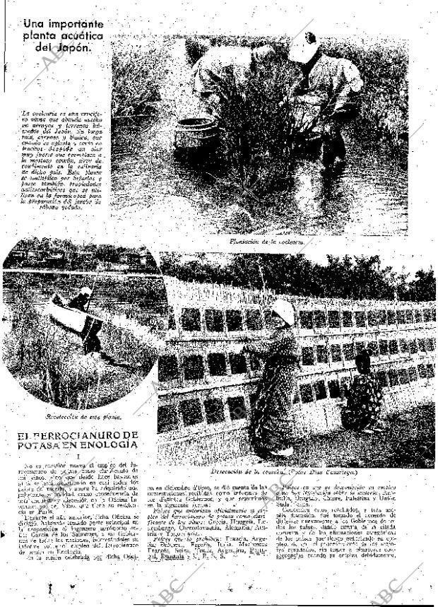 ABC MADRID 01-06-1934 página 13
