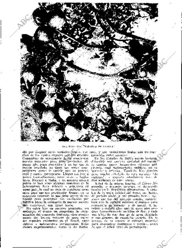 BLANCO Y NEGRO MADRID 03-06-1934 página 180