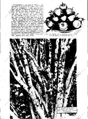 BLANCO Y NEGRO MADRID 03-06-1934 página 181