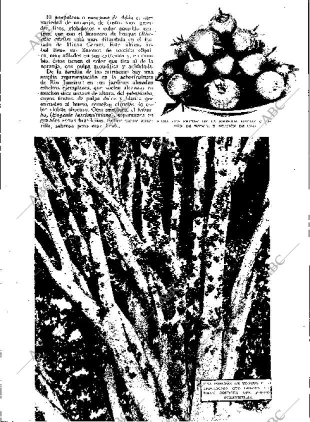 BLANCO Y NEGRO MADRID 03-06-1934 página 181