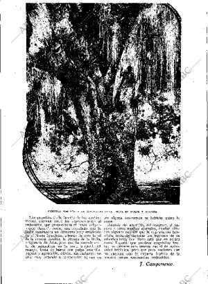 BLANCO Y NEGRO MADRID 03-06-1934 página 182