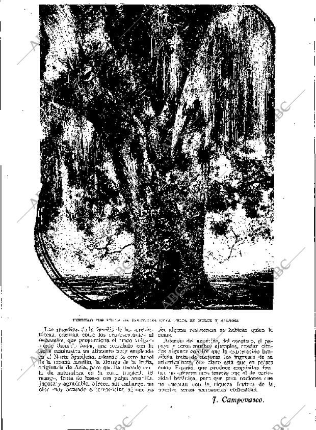 BLANCO Y NEGRO MADRID 03-06-1934 página 182