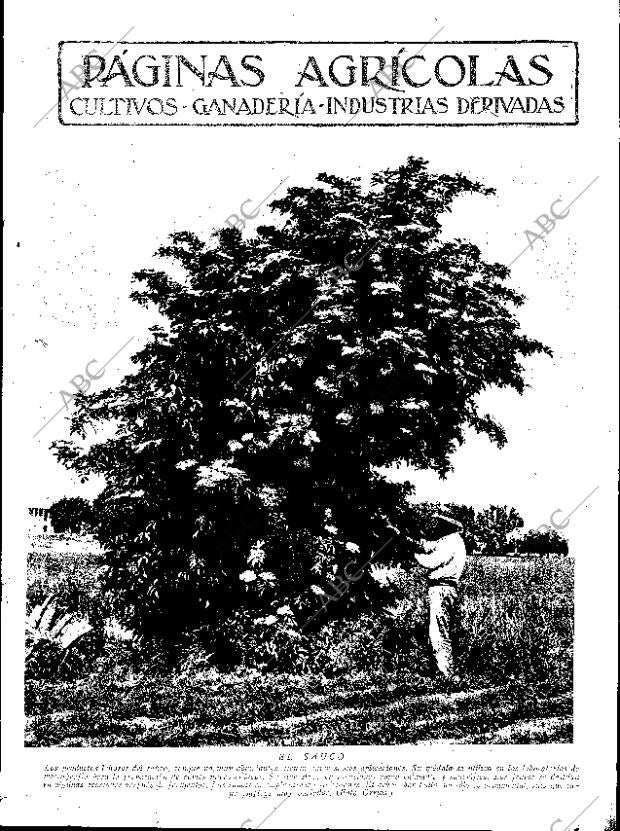 ABC SEVILLA 09-06-1934 página 7