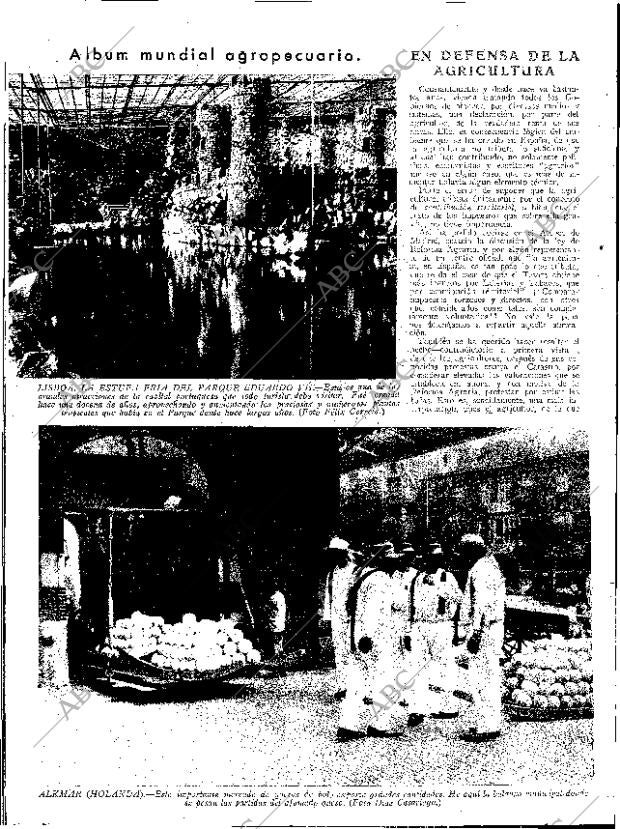 ABC SEVILLA 09-06-1934 página 8