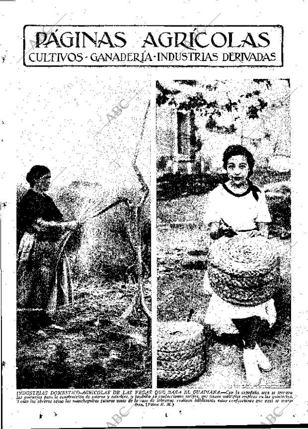ABC MADRID 15-06-1934 página 11