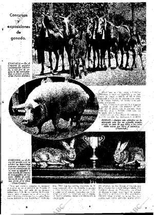ABC MADRID 15-06-1934 página 13