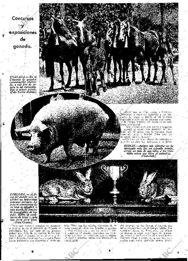 ABC MADRID 15-06-1934 página 13