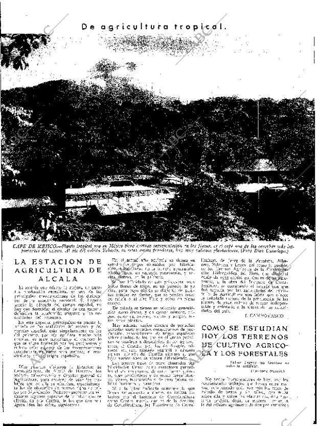 ABC SEVILLA 23-06-1934 página 13