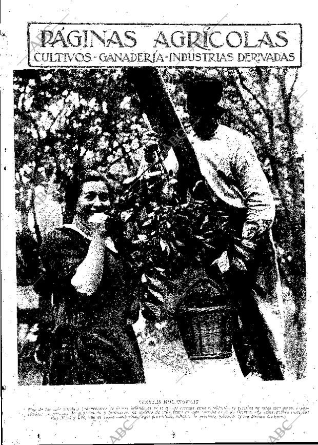 ABC MADRID 06-07-1934 página 11