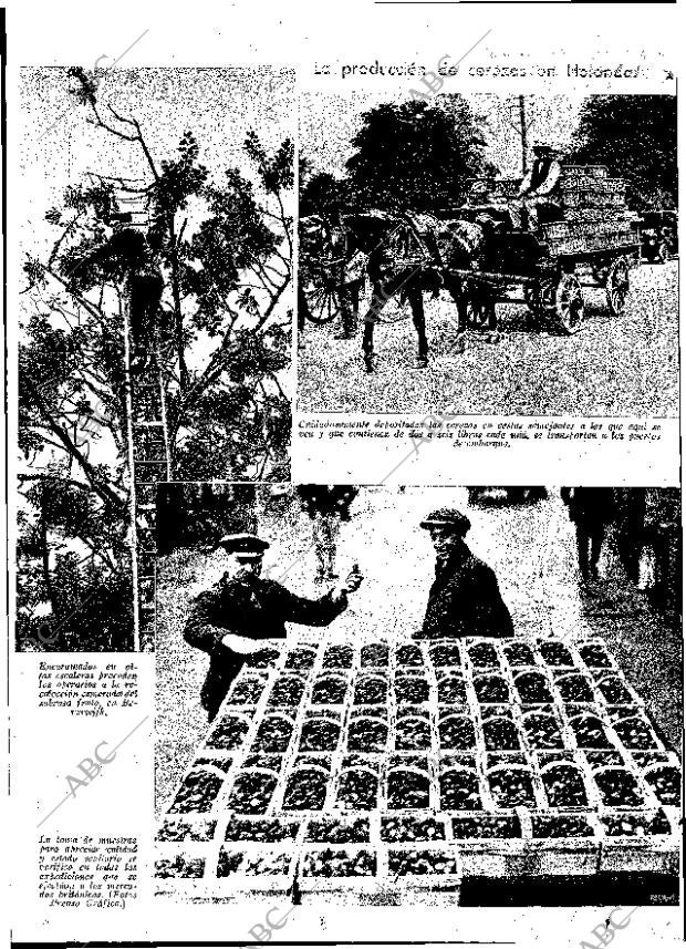 ABC MADRID 06-07-1934 página 12