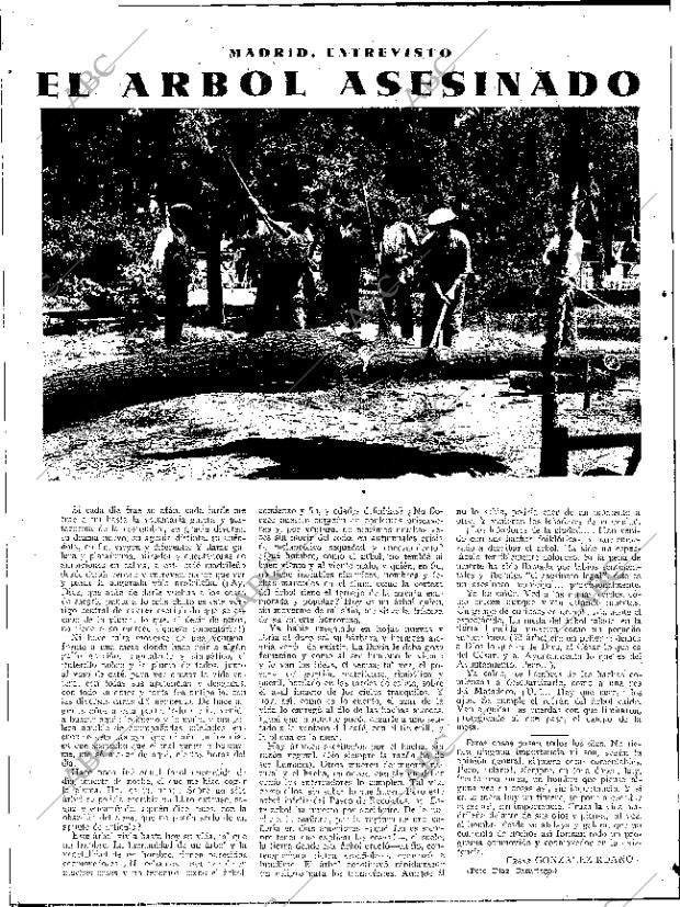 ABC SEVILLA 13-07-1934 página 10