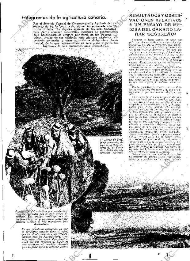 ABC MADRID 27-07-1934 página 12