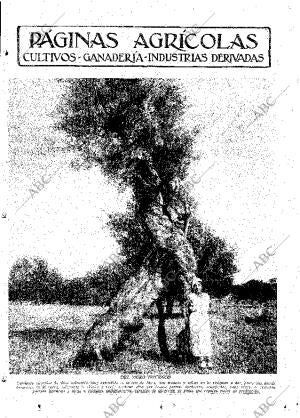 ABC MADRID 31-08-1934 página 11