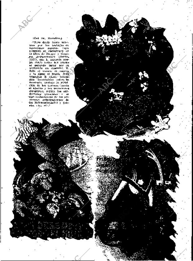 BLANCO Y NEGRO MADRID 02-09-1934 página 15