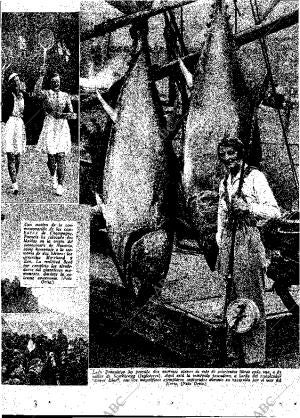 ABC MADRID 29-09-1934 página 13