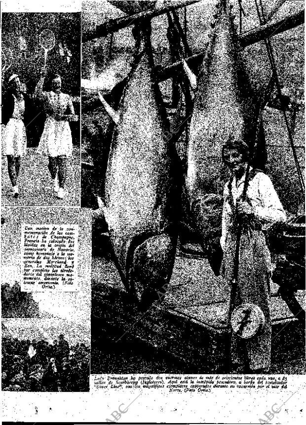 ABC MADRID 29-09-1934 página 13