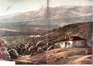 BLANCO Y NEGRO MADRID 21-10-1934 página 206