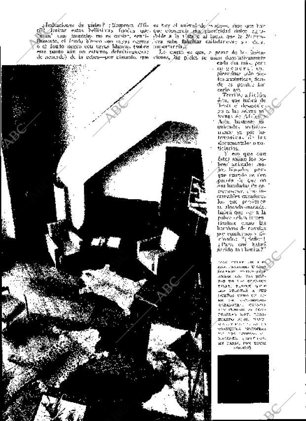 BLANCO Y NEGRO MADRID 28-10-1934 página 120