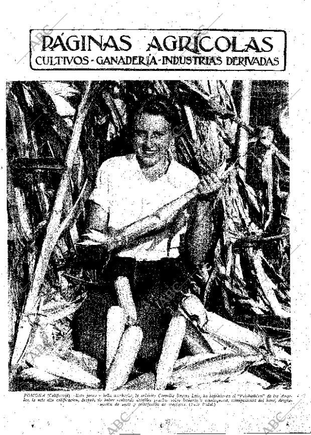 ABC MADRID 02-11-1934 página 11