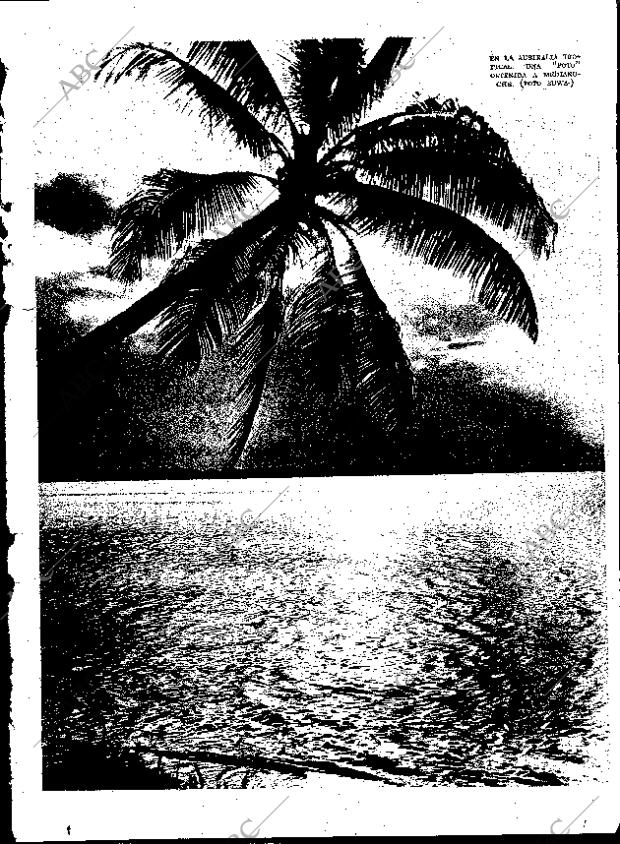 ABC SEVILLA 11-11-1934 página 47