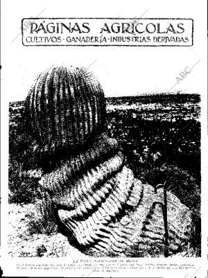 ABC SEVILLA 24-11-1934 página 11