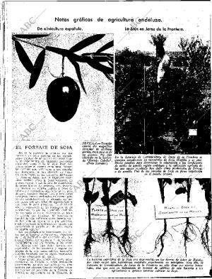 ABC SEVILLA 24-11-1934 página 12