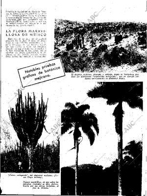 ABC SEVILLA 24-11-1934 página 13