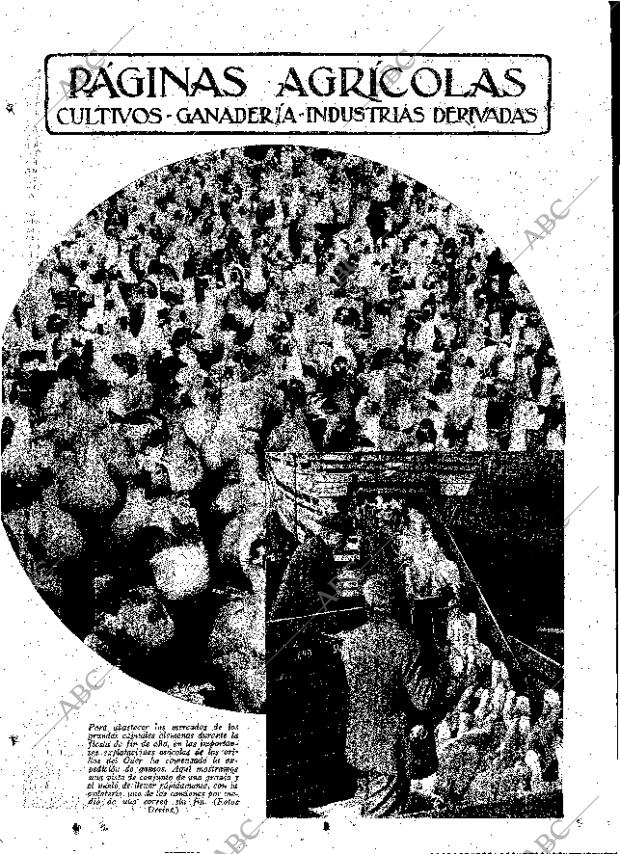 ABC MADRID 30-11-1934 página 11