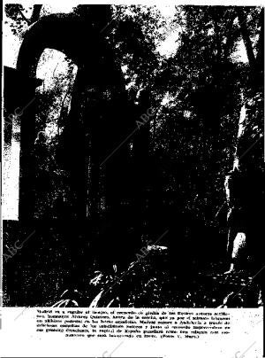 BLANCO Y NEGRO MADRID 02-12-1934 página 7