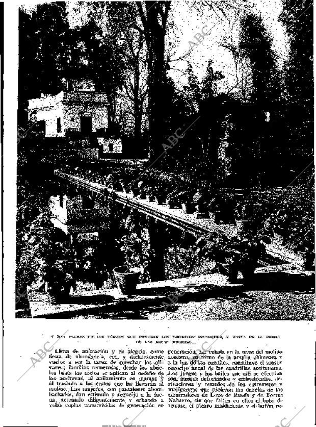 BLANCO Y NEGRO MADRID 02-12-1934 página 71