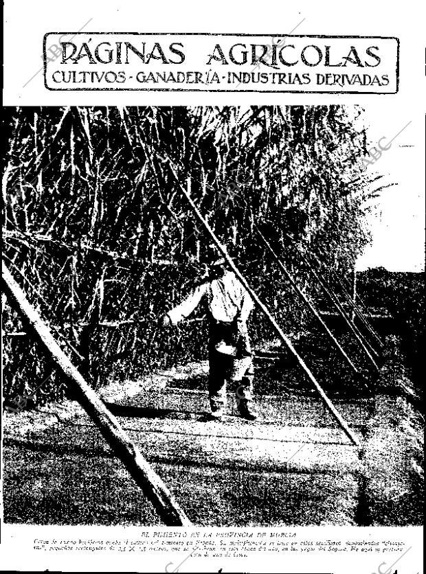 ABC SEVILLA 15-12-1934 página 11