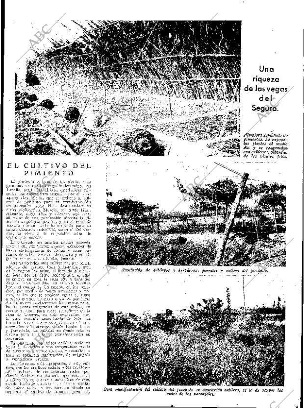 ABC SEVILLA 15-12-1934 página 13