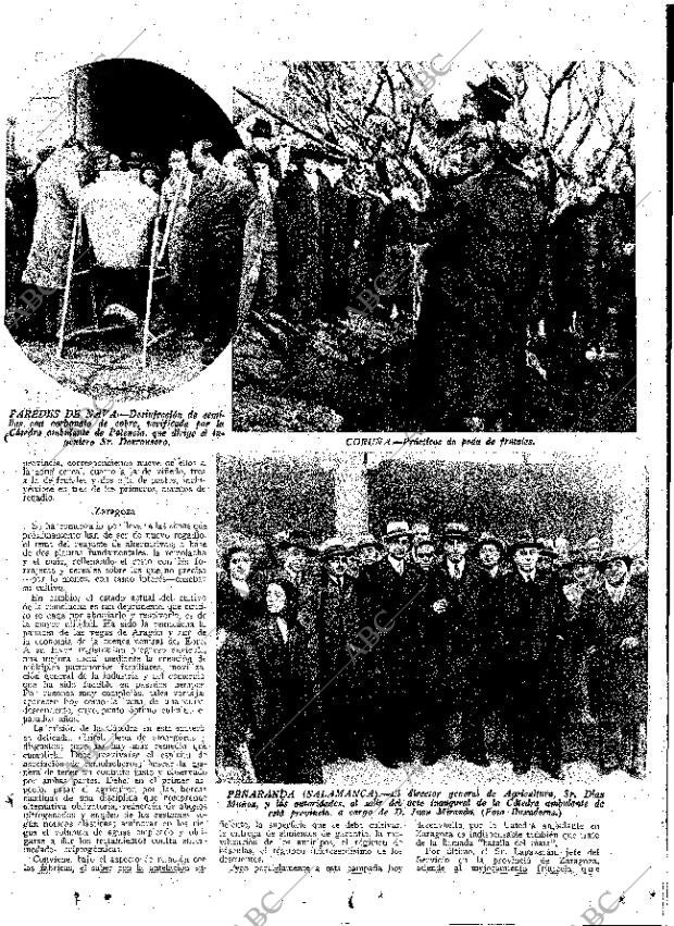 ABC MADRID 21-12-1934 página 13