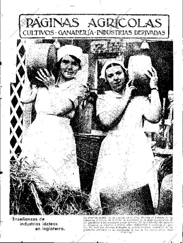 ABC SEVILLA 19-01-1935 página 11