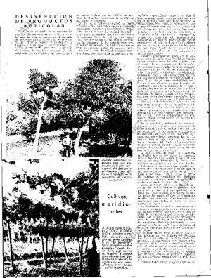 ABC SEVILLA 19-01-1935 página 12