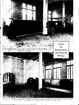 ABC SEVILLA 19-01-1935 página 13