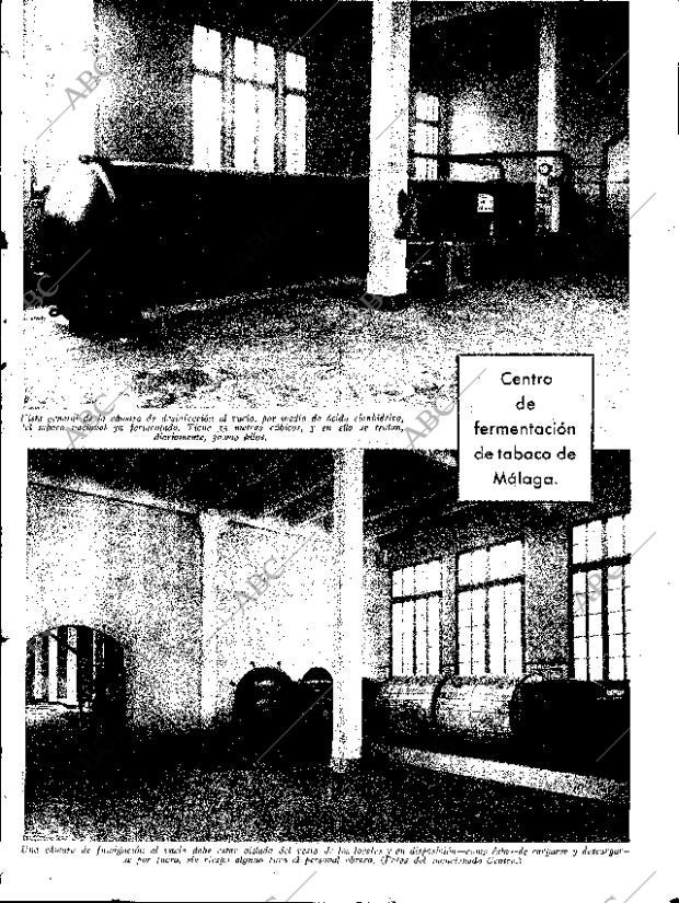 ABC SEVILLA 19-01-1935 página 13