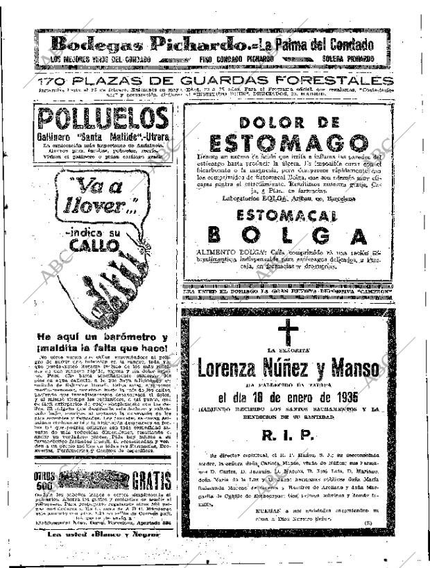 ABC SEVILLA 19-01-1935 página 37