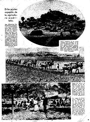 ABC MADRID 25-01-1935 página 13