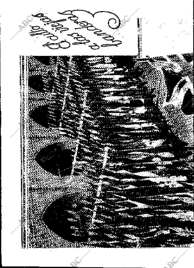 BLANCO Y NEGRO MADRID 03-02-1935 página 56