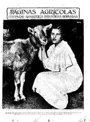 ABC MADRID 08-02-1935 página 11