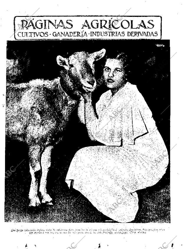 ABC MADRID 08-02-1935 página 11