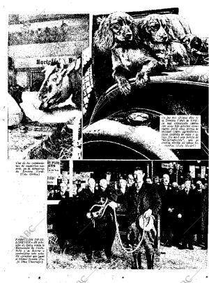 ABC MADRID 08-02-1935 página 13