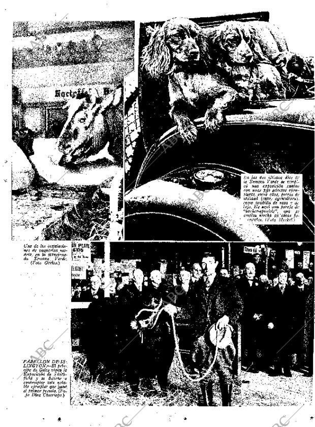ABC MADRID 08-02-1935 página 13