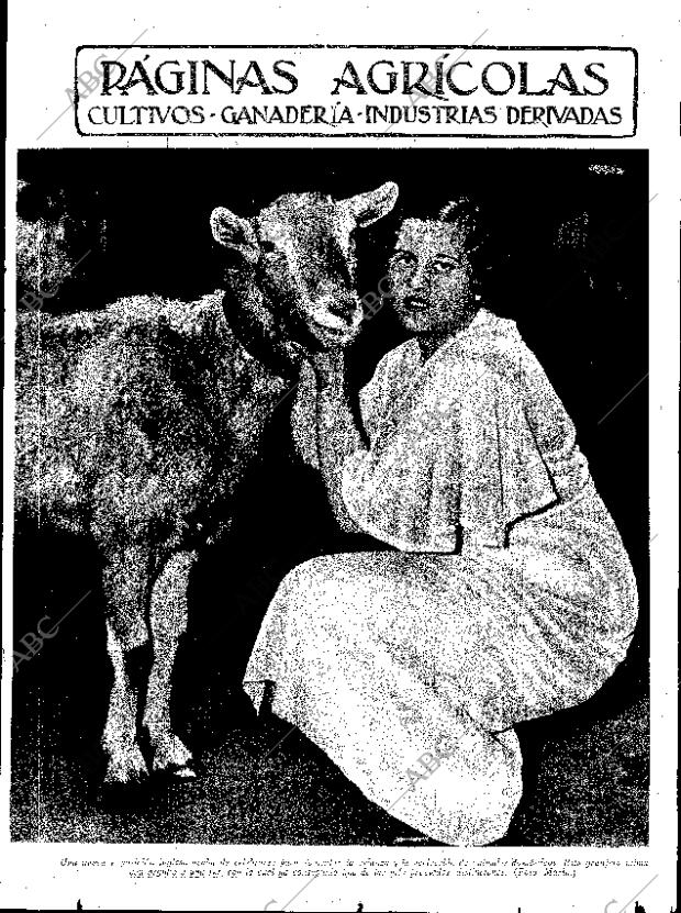 ABC SEVILLA 09-02-1935 página 7