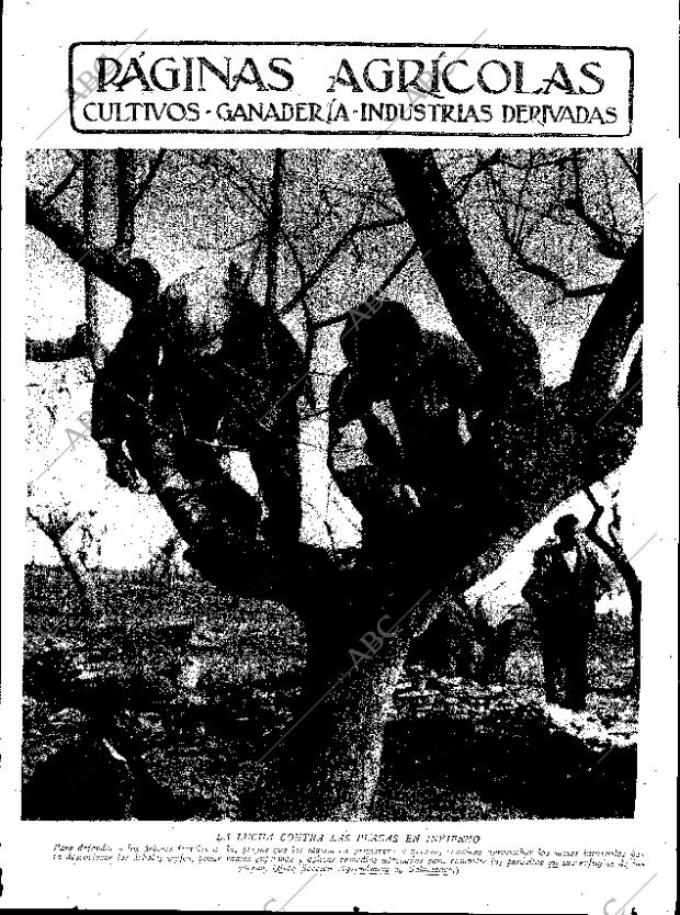 ABC SEVILLA 23-02-1935 página 11