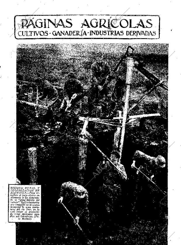 ABC MADRID 01-03-1935 página 11
