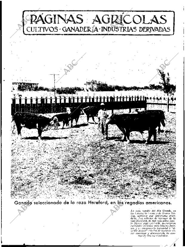 ABC SEVILLA 30-03-1935 página 11