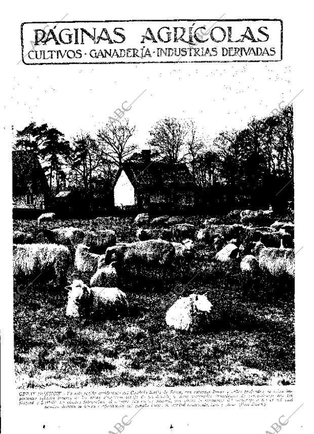 ABC SEVILLA 14-04-1935 página 25