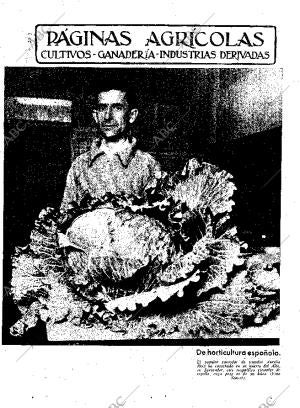 ABC MADRID 19-04-1935 página 11